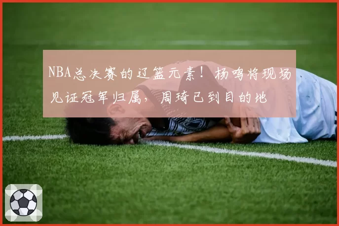 NBA总决赛的辽篮元素！杨鸣将现场见证冠军归属，周琦已到目的地