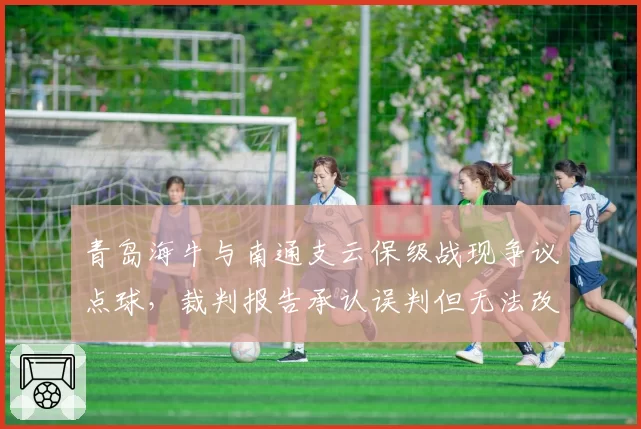 青岛海牛与南通支云保级战现争议点球，裁判报告承认误判但无法改变积分榜走向